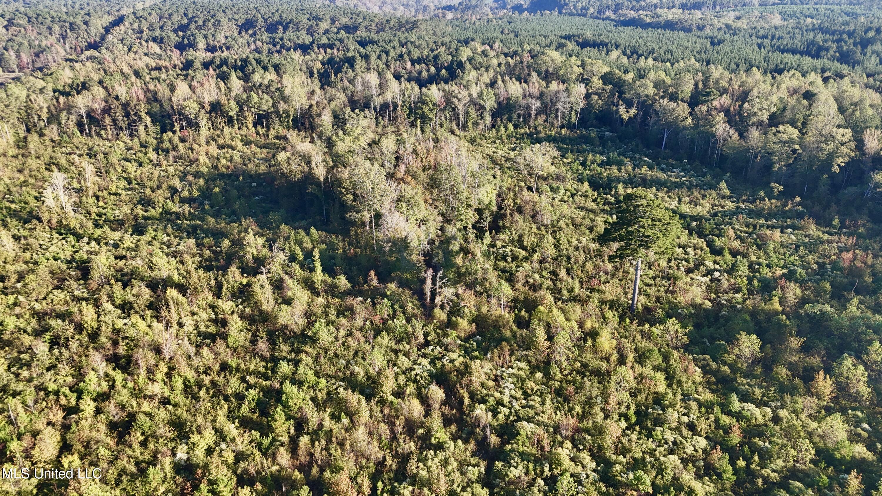 15 Hwy Union Union, MS 39365 - Photo 13 of 17 dji_fly_20251014_082330_0117_17604483536