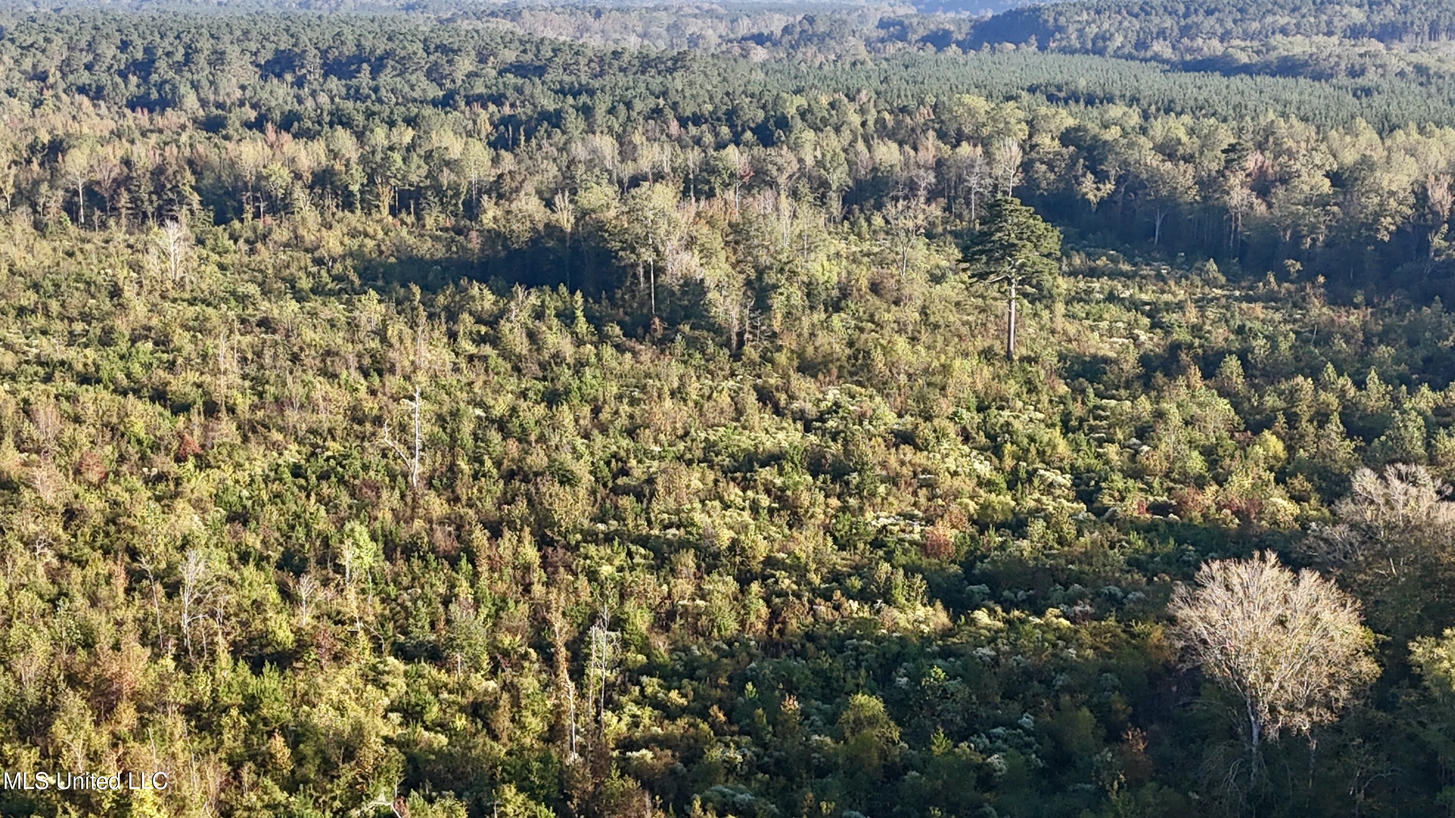15 Hwy Union Union, MS 39365 - Photo 14 of 17 dji_fly_20251014_082306_0116_17604483539