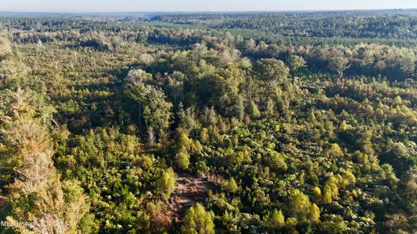 $145,000 | 15 Hwy Union, Union, MS 39365