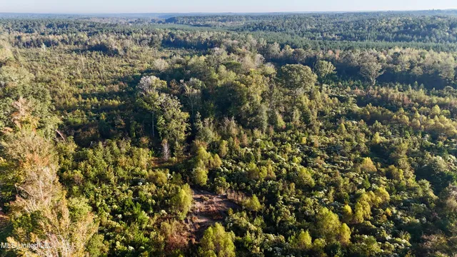 $145,000 | 15 Hwy Union, Union, MS 39365