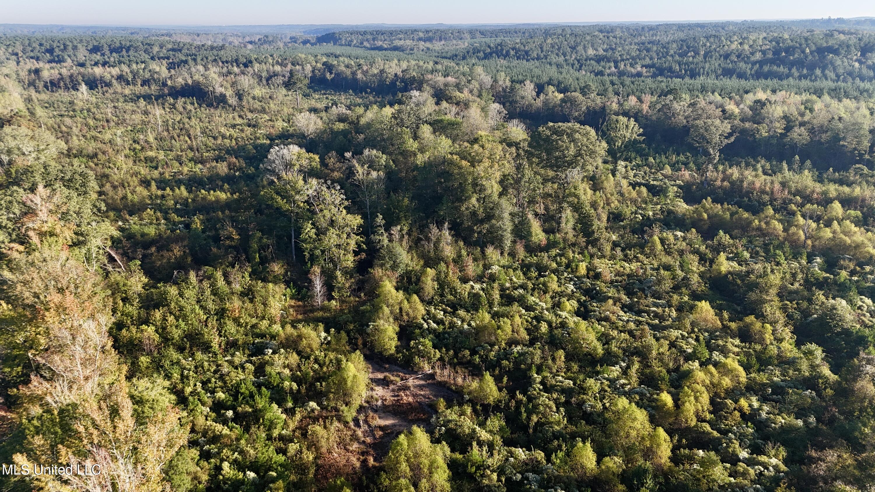 15 Hwy Union Union, MS 39365 - Photo 15 of 17 dji_fly_20251014_082246_0115_17604483543