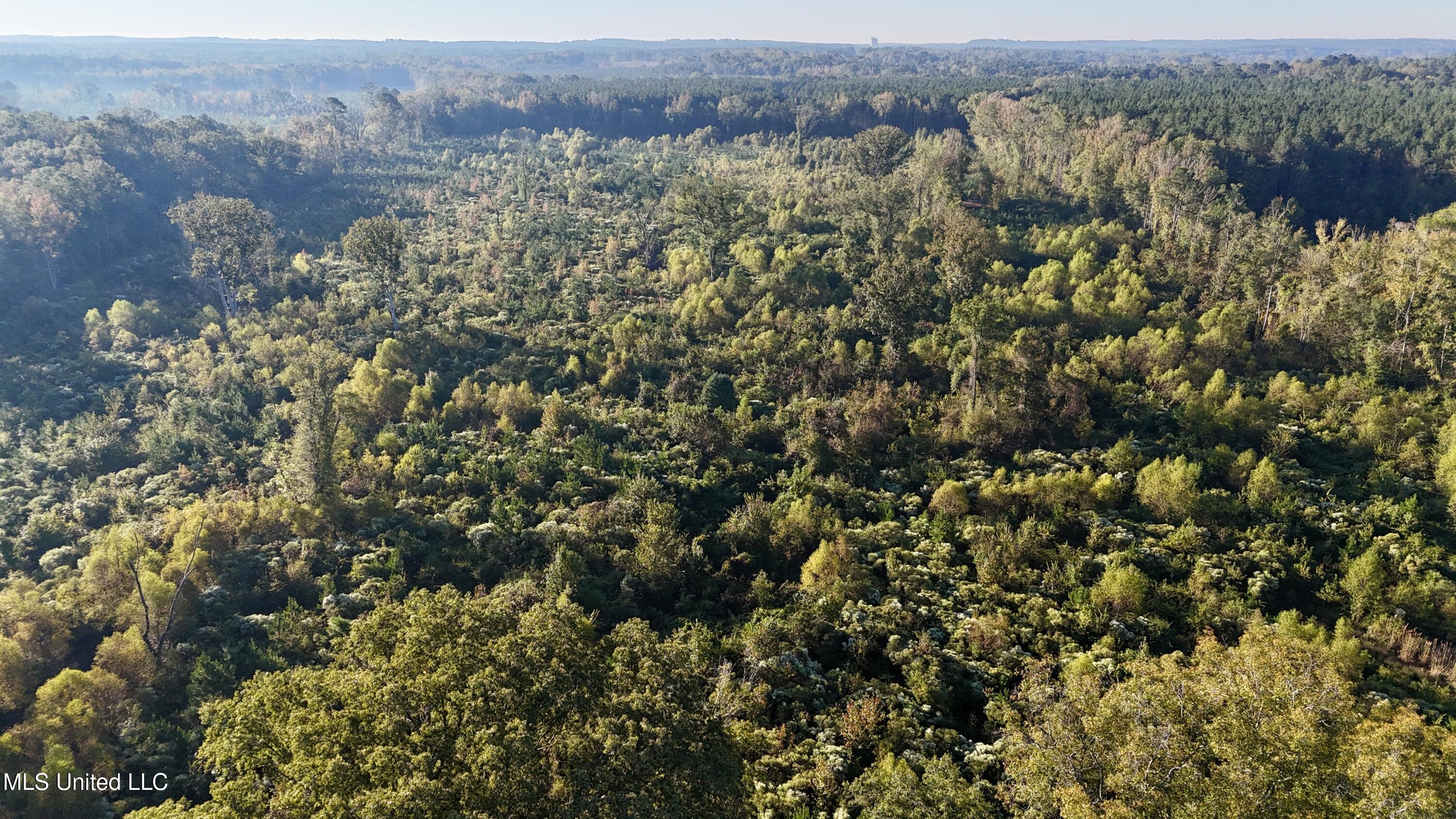 15 Hwy Union Union, MS 39365 - Photo 16 of 17 dji_fly_20251014_082150_0113_17604483549