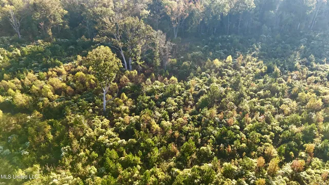 $145,000 | 15 Hwy Union, Union, MS 39365