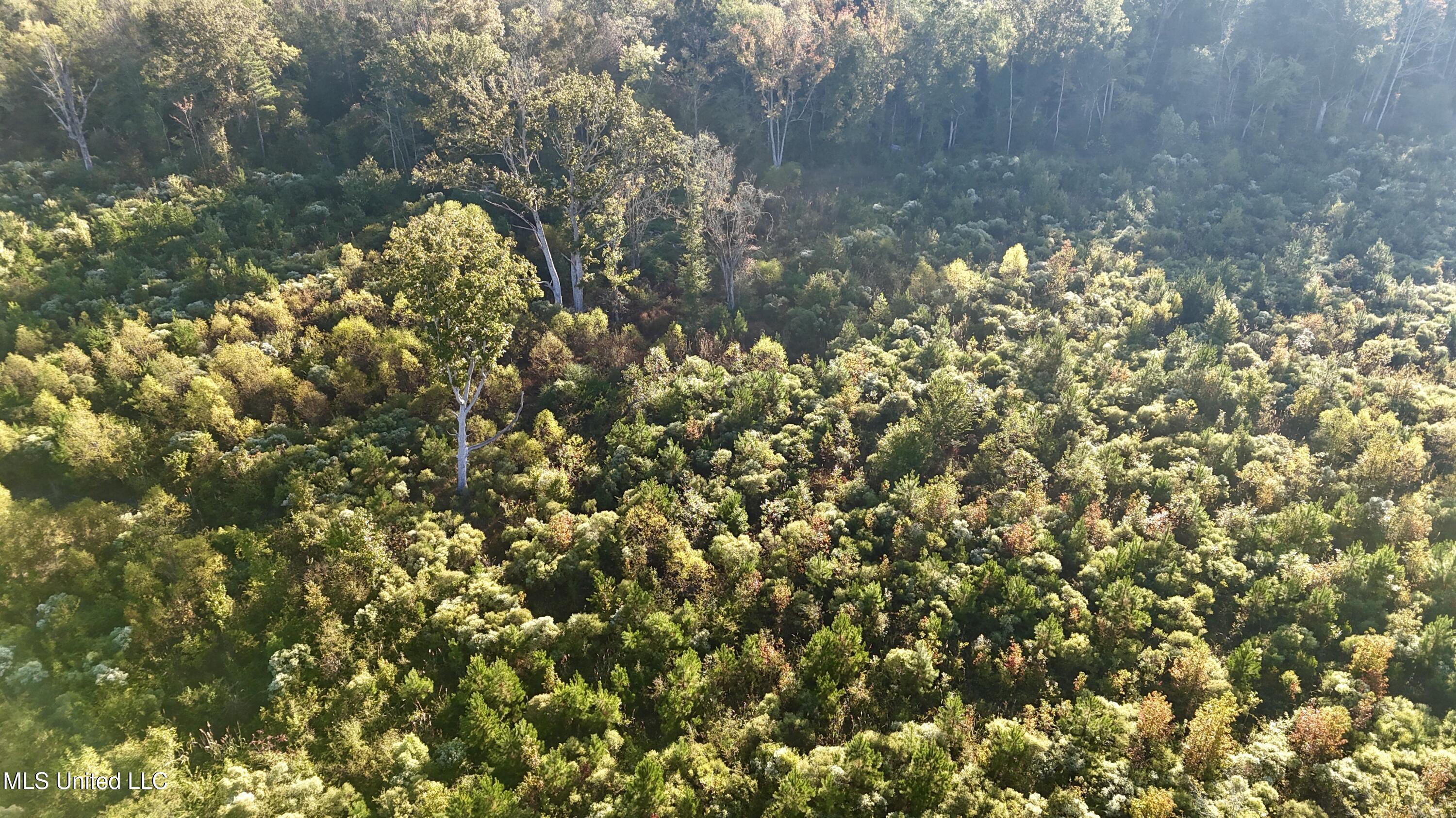 15 Hwy Union Union, MS 39365 - Photo 17 of 17 dji_fly_20251014_082112_0112_17604483553