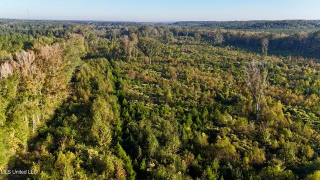 $145,000 | 15 Hwy Union, Union, MS 39365