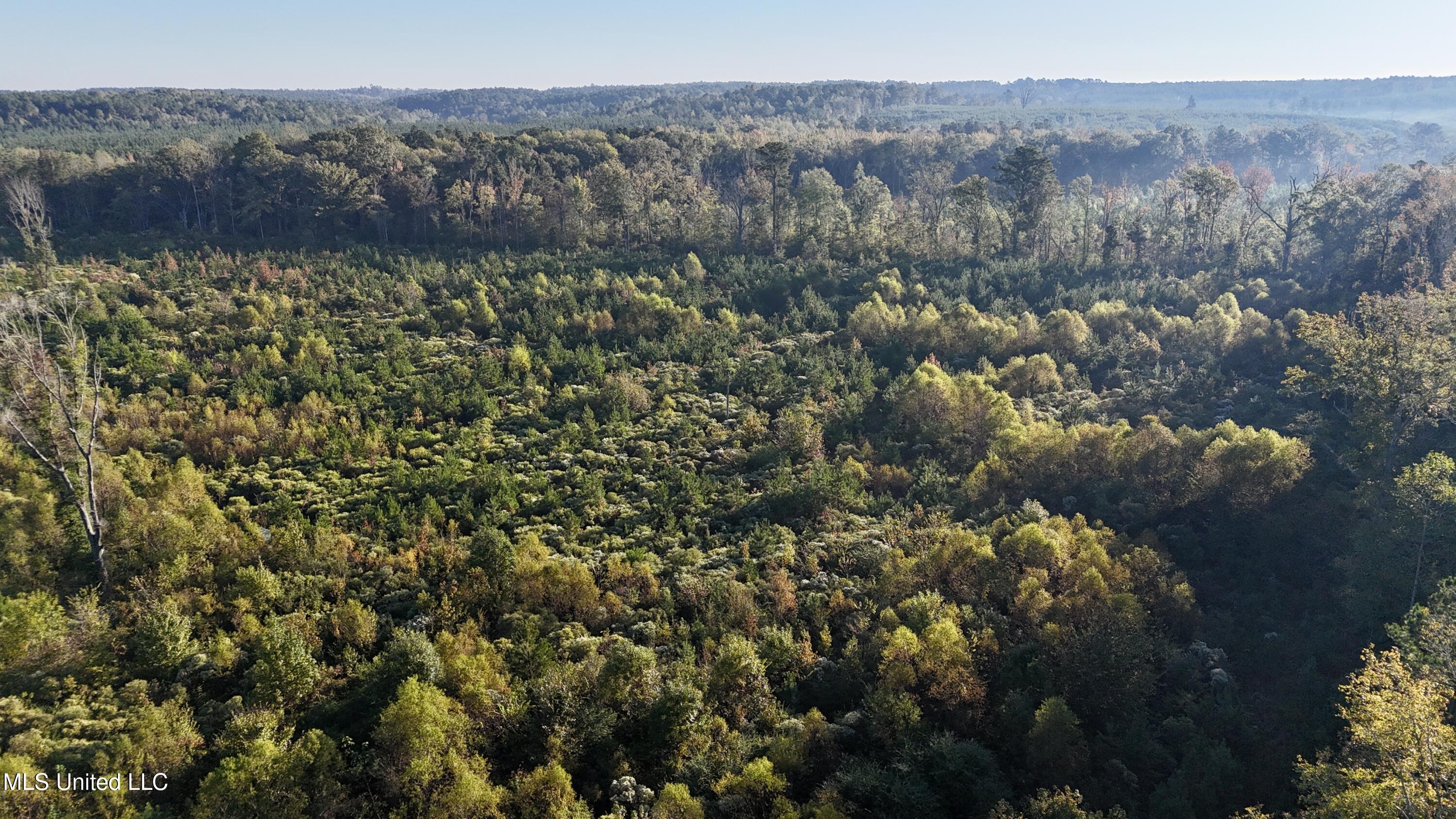 15 Hwy Union Union, MS 39365 - Photo 3 of 17 dji_fly_20251014_081828_0104_17604483584