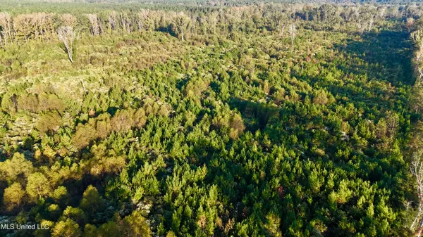 $145,000 | 15 Hwy Union, Union, MS 39365