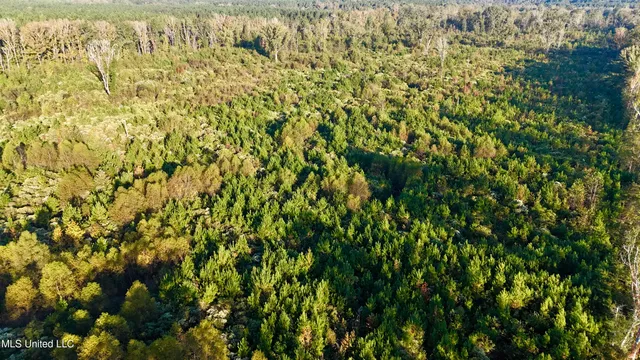 $145,000 | 15 Hwy Union, Union, MS 39365