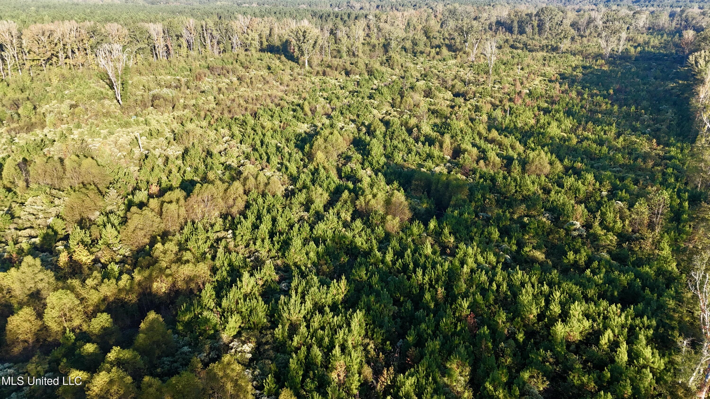 15 Hwy Union Union, MS 39365 - Photo 4 of 17 dji_fly_20251014_081926_0105_17604483581