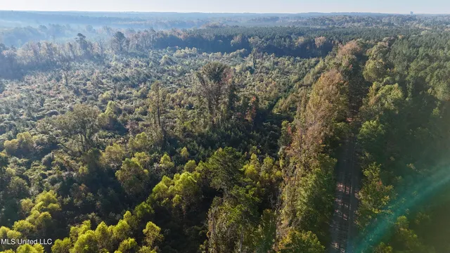 $145,000 | 15 Hwy Union, Union, MS 39365