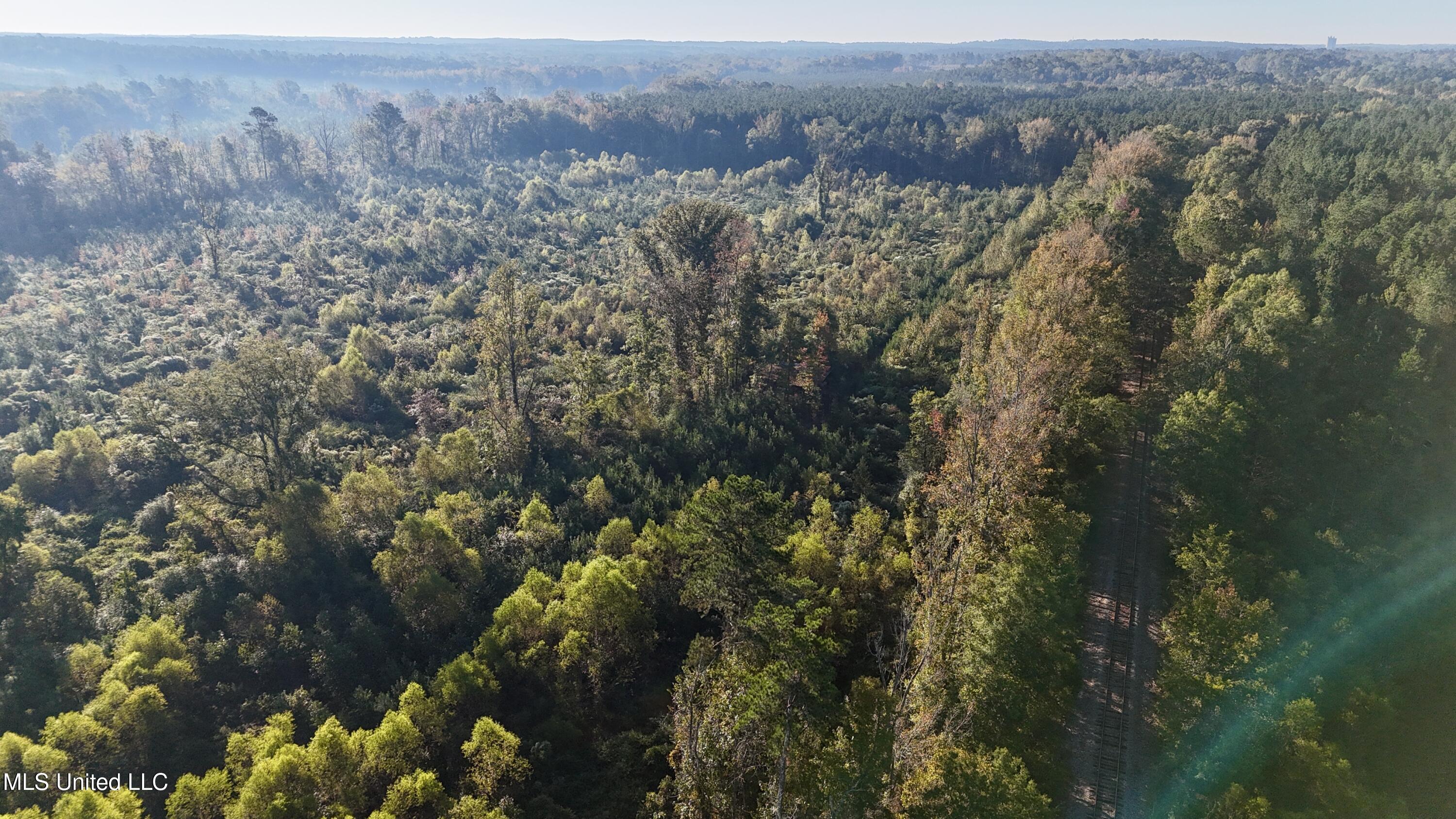 15 Hwy Union Union, MS 39365 - Photo 5 of 17 dji_fly_20251014_082232_0114_17604483546