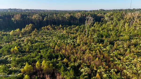 $145,000 | 15 Hwy Union, Union, MS 39365
