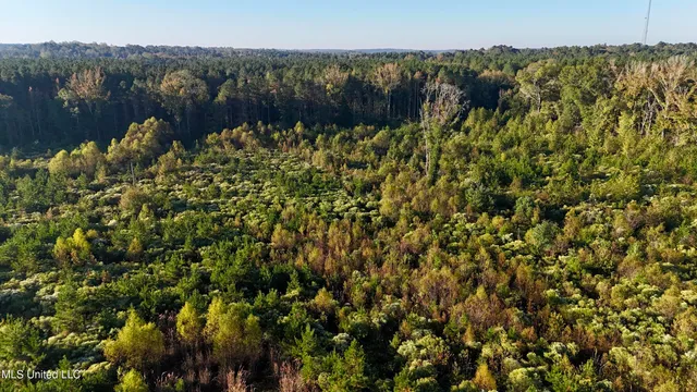 $145,000 | 15 Hwy Union, Union, MS 39365