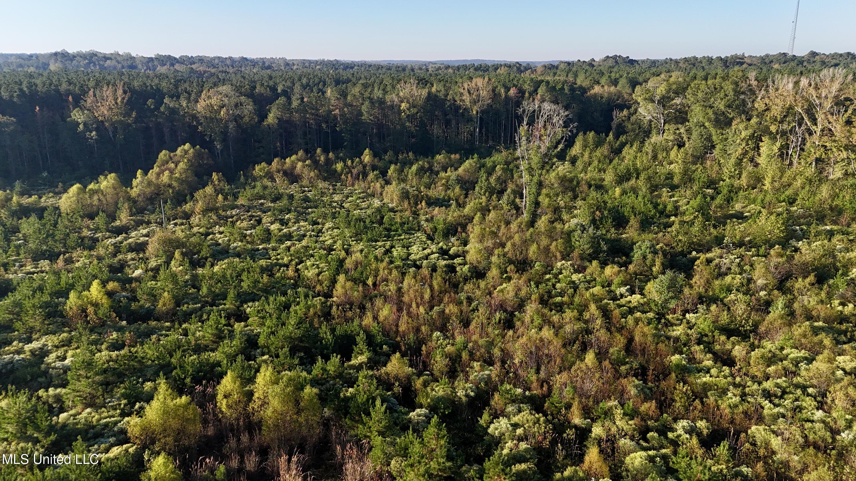 15 Hwy Union Union, MS 39365 - Photo 6 of 17 dji_fly_20251014_082004_0106_17604483577