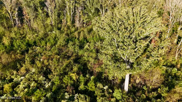 $145,000 | 15 Hwy Union, Union, MS 39365