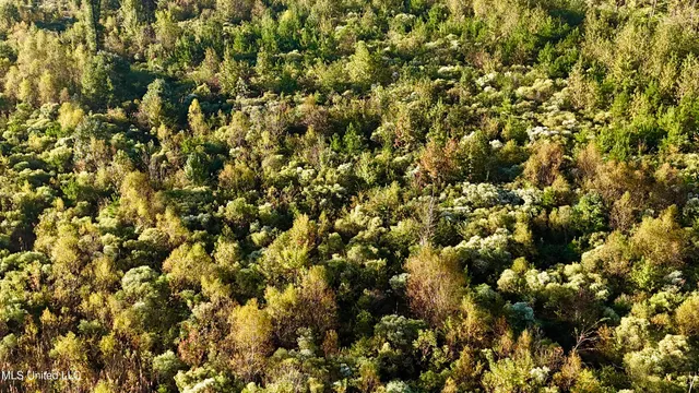 $145,000 | 15 Hwy Union, Union, MS 39365