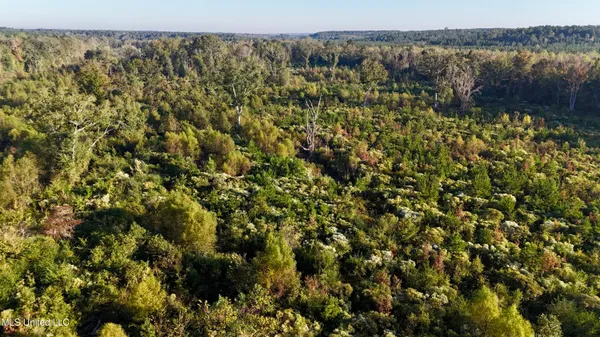 $145,000 | 15 Hwy Union, Union, MS 39365