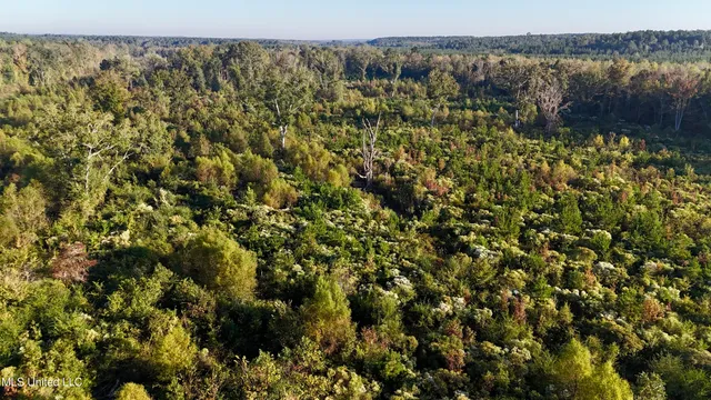 $145,000 | 15 Hwy Union, Union, MS 39365