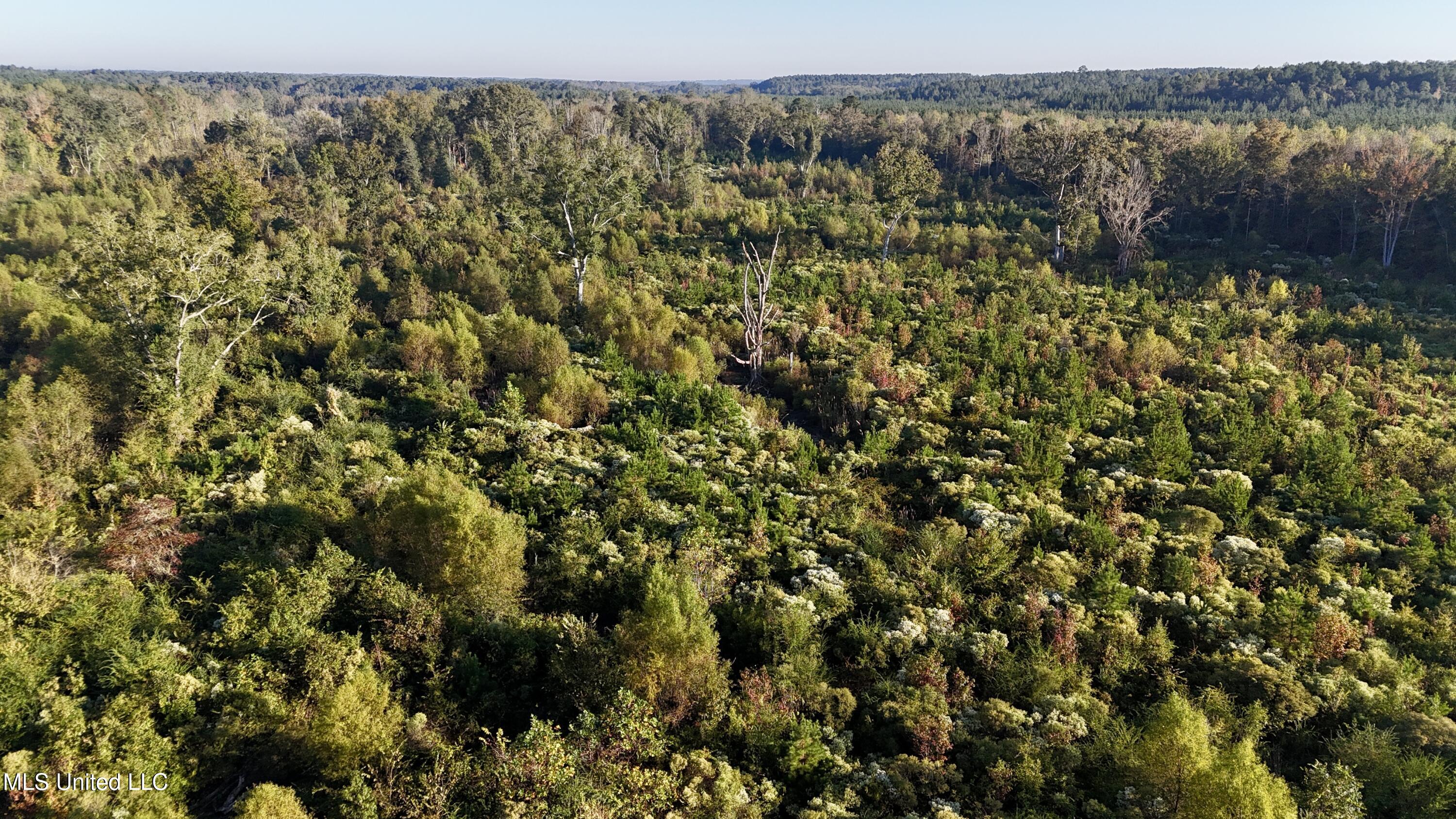 15 Hwy Union Union, MS 39365 - Photo 9 of 17 dji_fly_20251014_082034_0109_17604483565