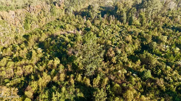 $145,000 | 15 Hwy Union, Union, MS 39365