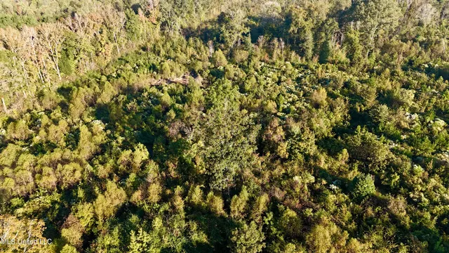 $145,000 | 15 Hwy Union, Union, MS 39365