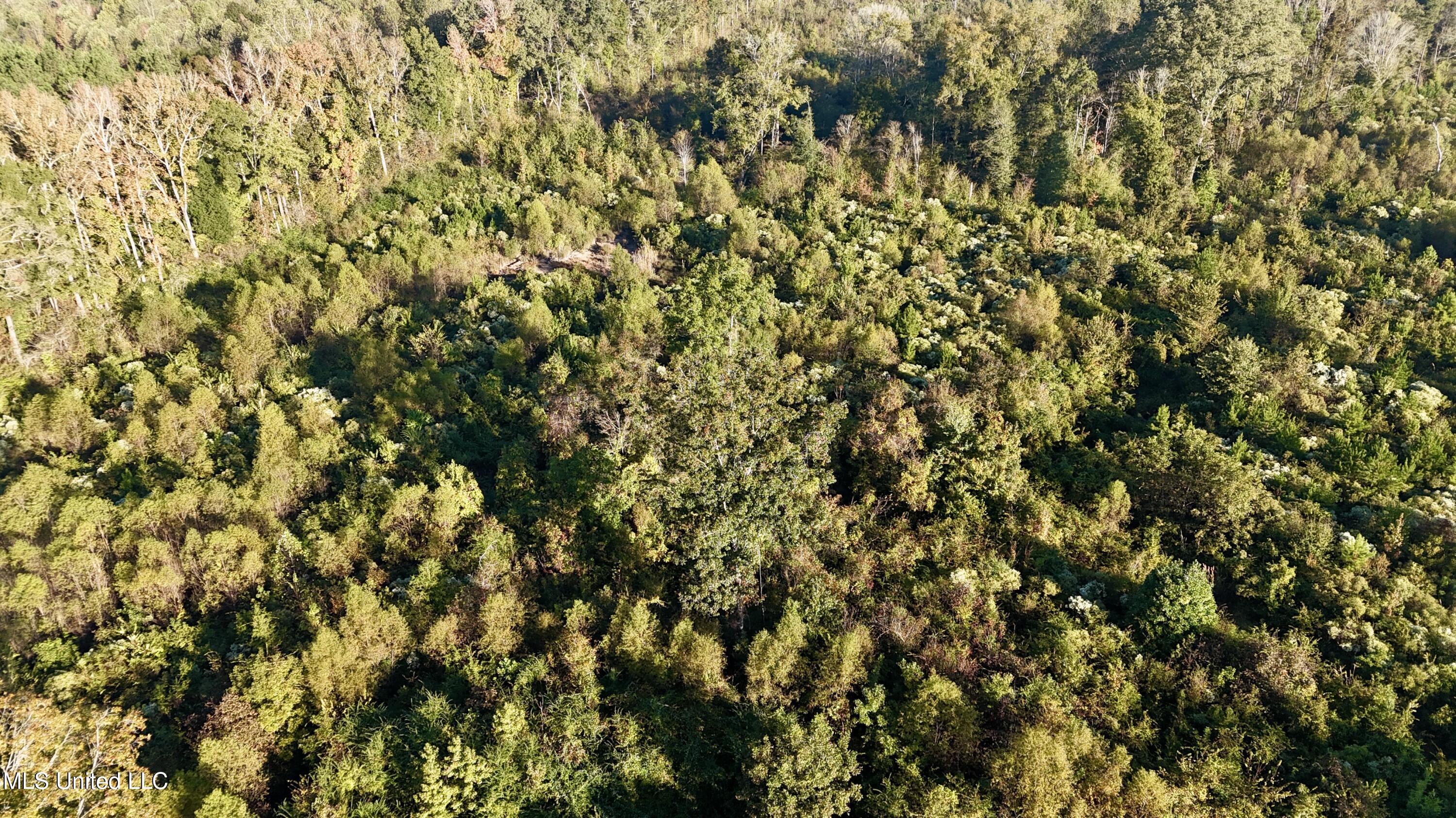 15 Hwy Union Union, MS 39365 - Photo 10 of 17 dji_fly_20251014_082058_0110_17604483560