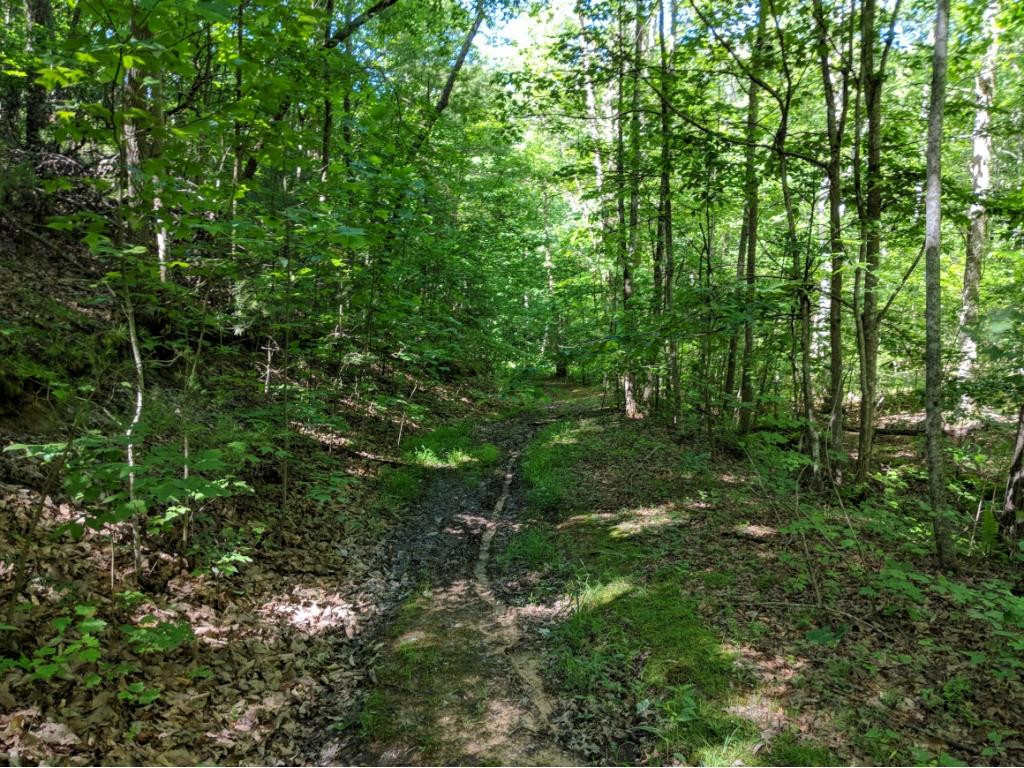 Tbd Washington Spring Road Glade Spring, VA 24340 - Photo 1 of 8 Photo 1
