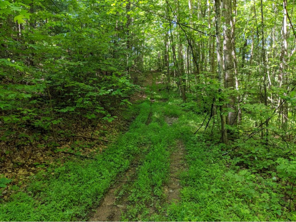 Tbd Washington Spring Road Glade Spring, VA 24340 - Photo 2 of 8 Photo 2