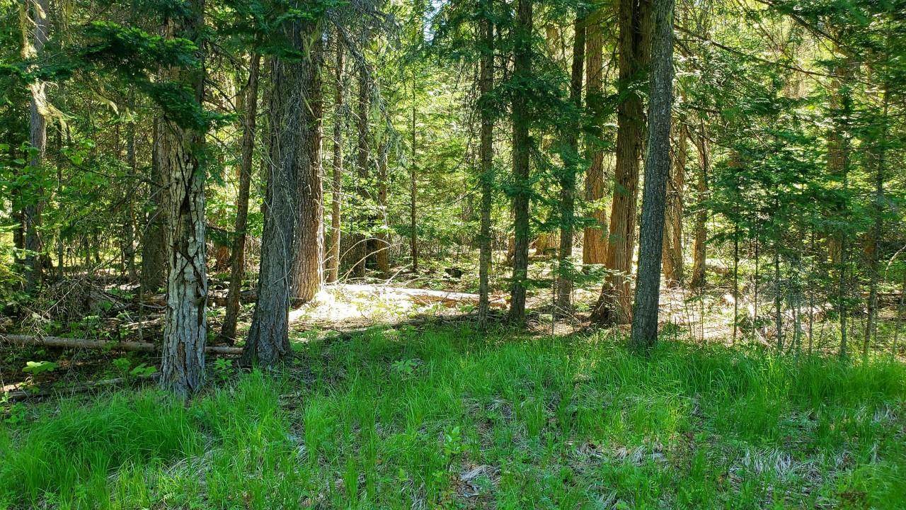 Tbd Tbd Leclerc Road Cusick, WA 99119 - Photo 1 of 21 Gallery Image 1