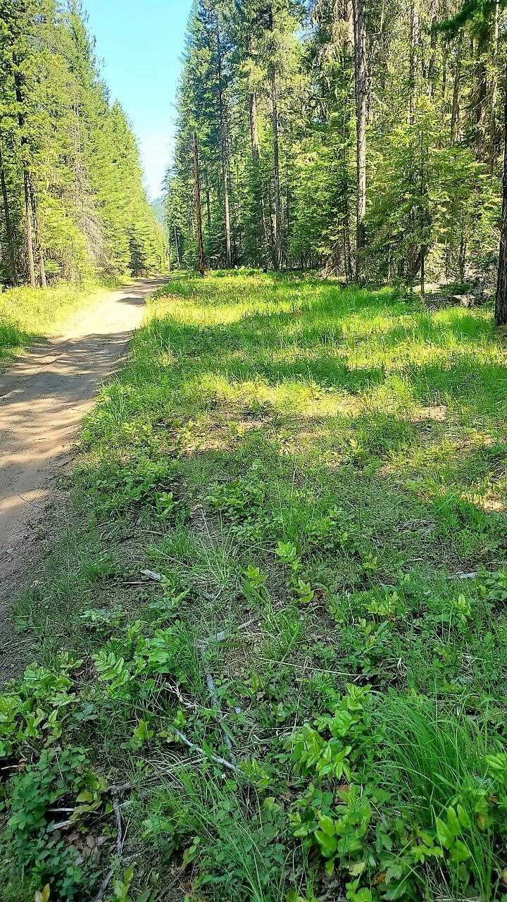 Tbd Tbd Leclerc Road Cusick, WA 99119 - Photo 12 of 21 Gallery Image 12