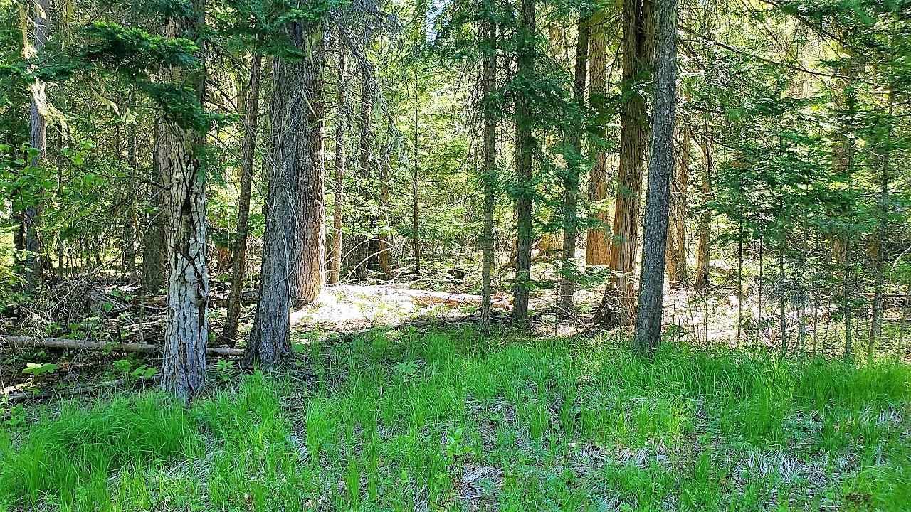 Tbd Tbd Leclerc Road Cusick, WA 99119 - Photo 13 of 21 Gallery Image 13