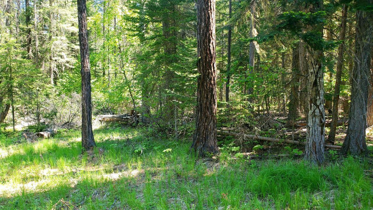 Tbd Tbd Leclerc Road Cusick, WA 99119 - Photo 14 of 21 Gallery Image 14