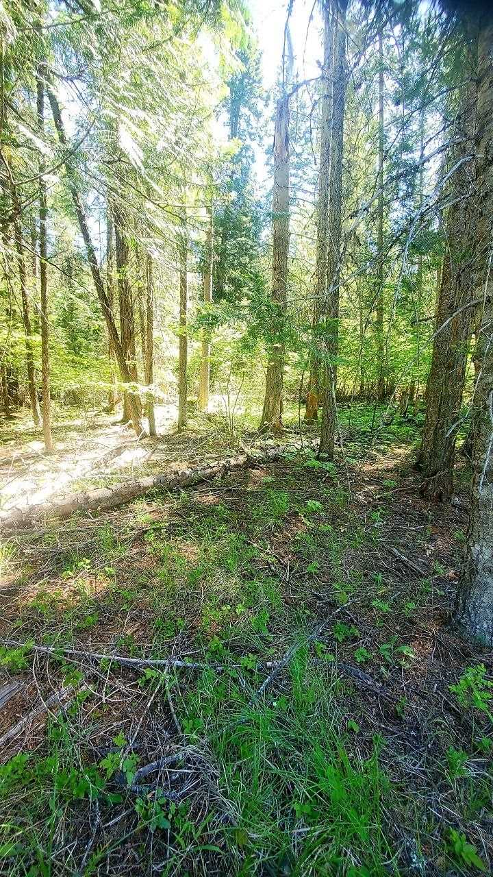Tbd Tbd Leclerc Road Cusick, WA 99119 - Photo 16 of 21 Gallery Image 16