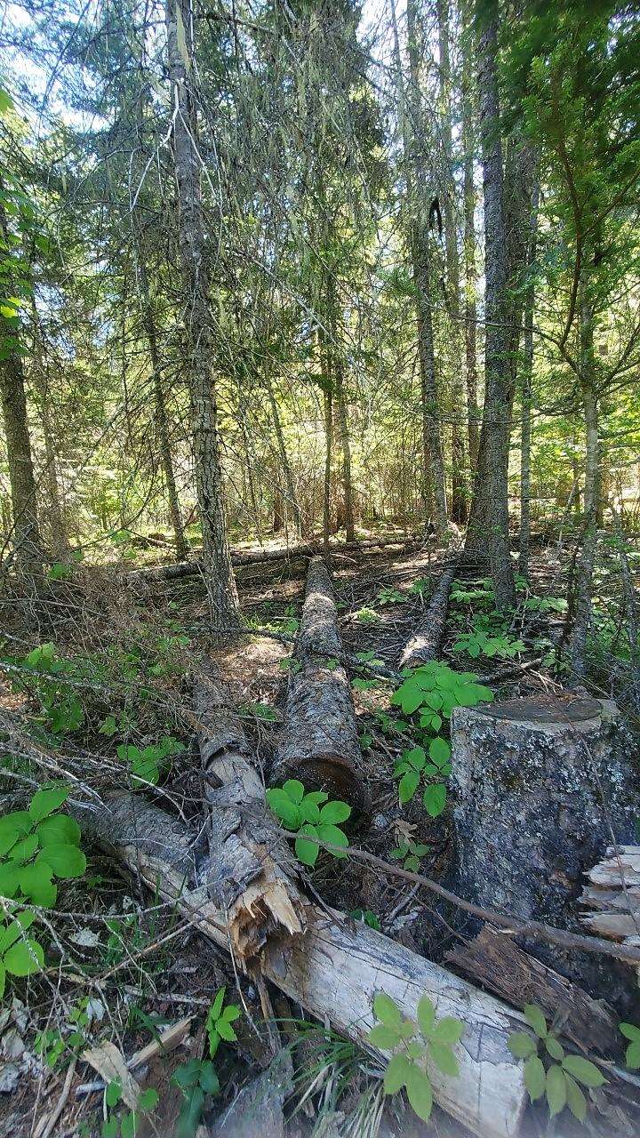Tbd Tbd Leclerc Road Cusick, WA 99119 - Photo 17 of 21 Gallery Image 17