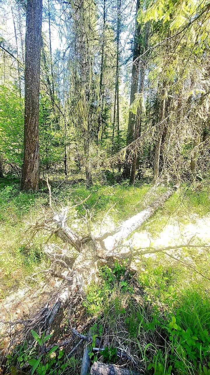 Tbd Tbd Leclerc Road Cusick, WA 99119 - Photo 19 of 21 Gallery Image 19