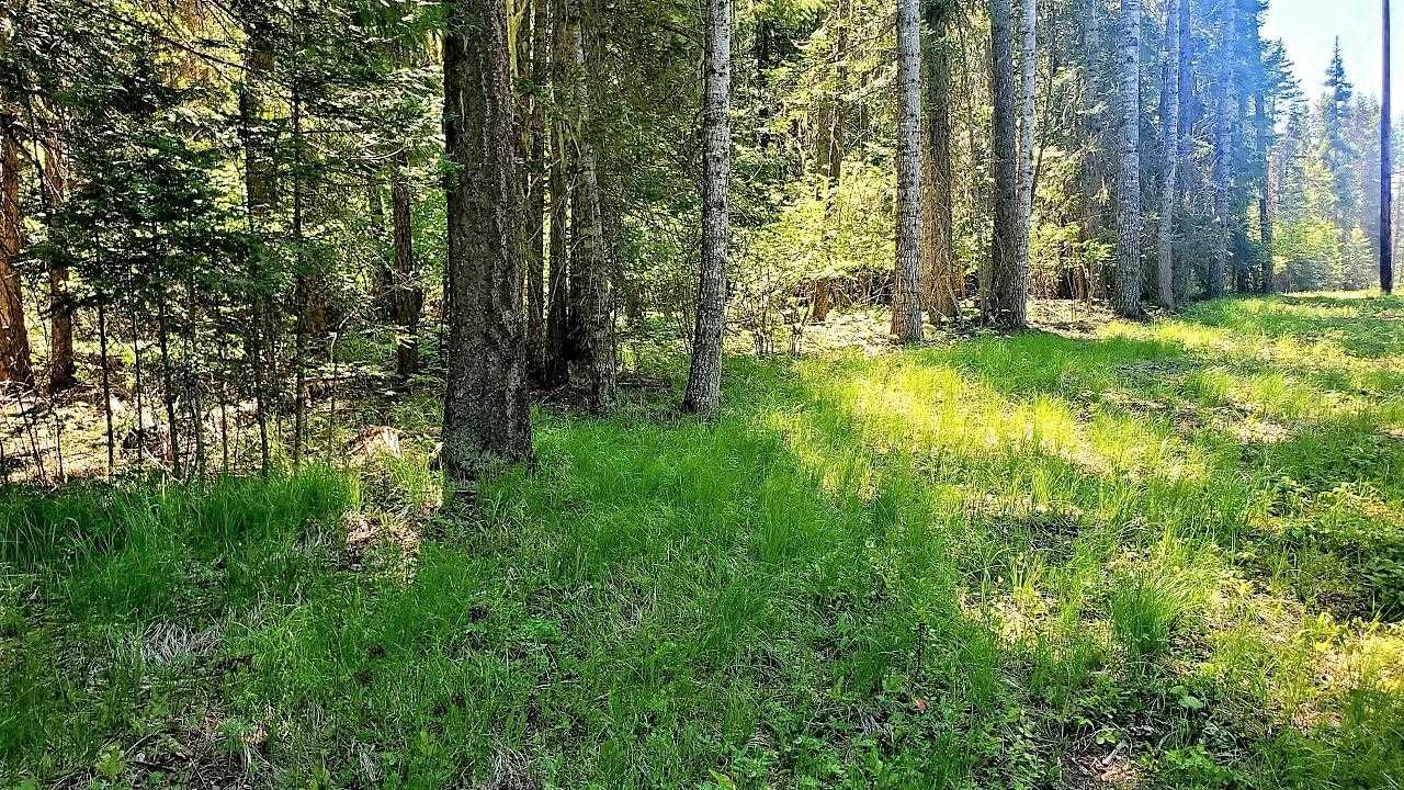 Tbd Tbd Leclerc Road Cusick, WA 99119 - Photo 4 of 21 Gallery Image 4