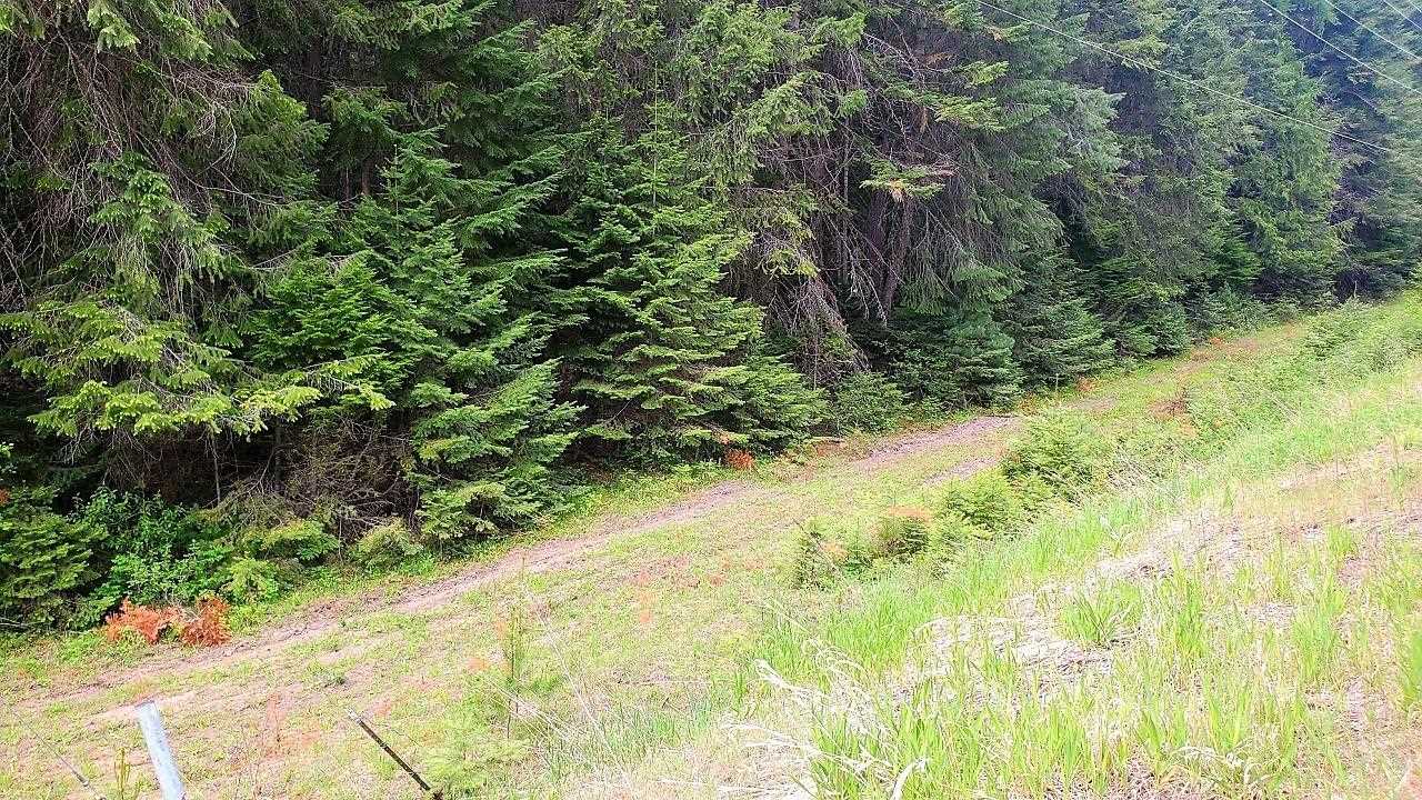 Tbd Tbd Leclerc Road Cusick, WA 99119 - Photo 7 of 21 Gallery Image 7