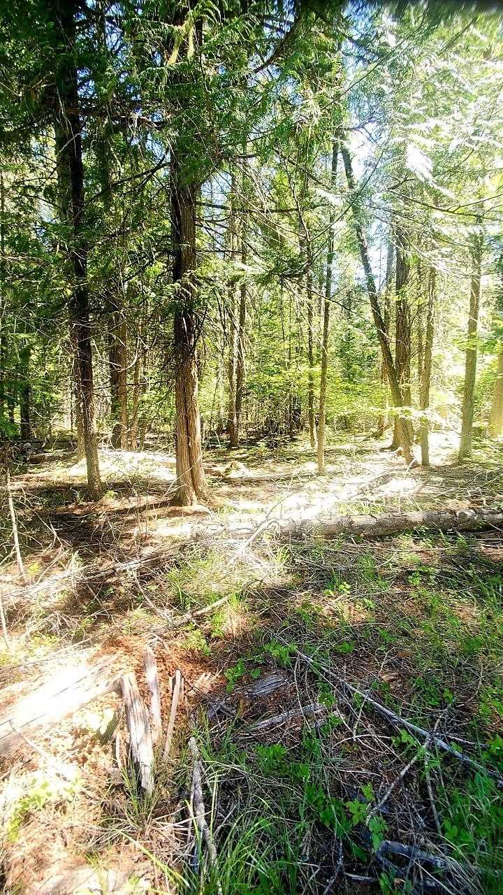 Tbd Tbd Leclerc Road Cusick, WA 99119 - Photo 9 of 21 Gallery Image 9