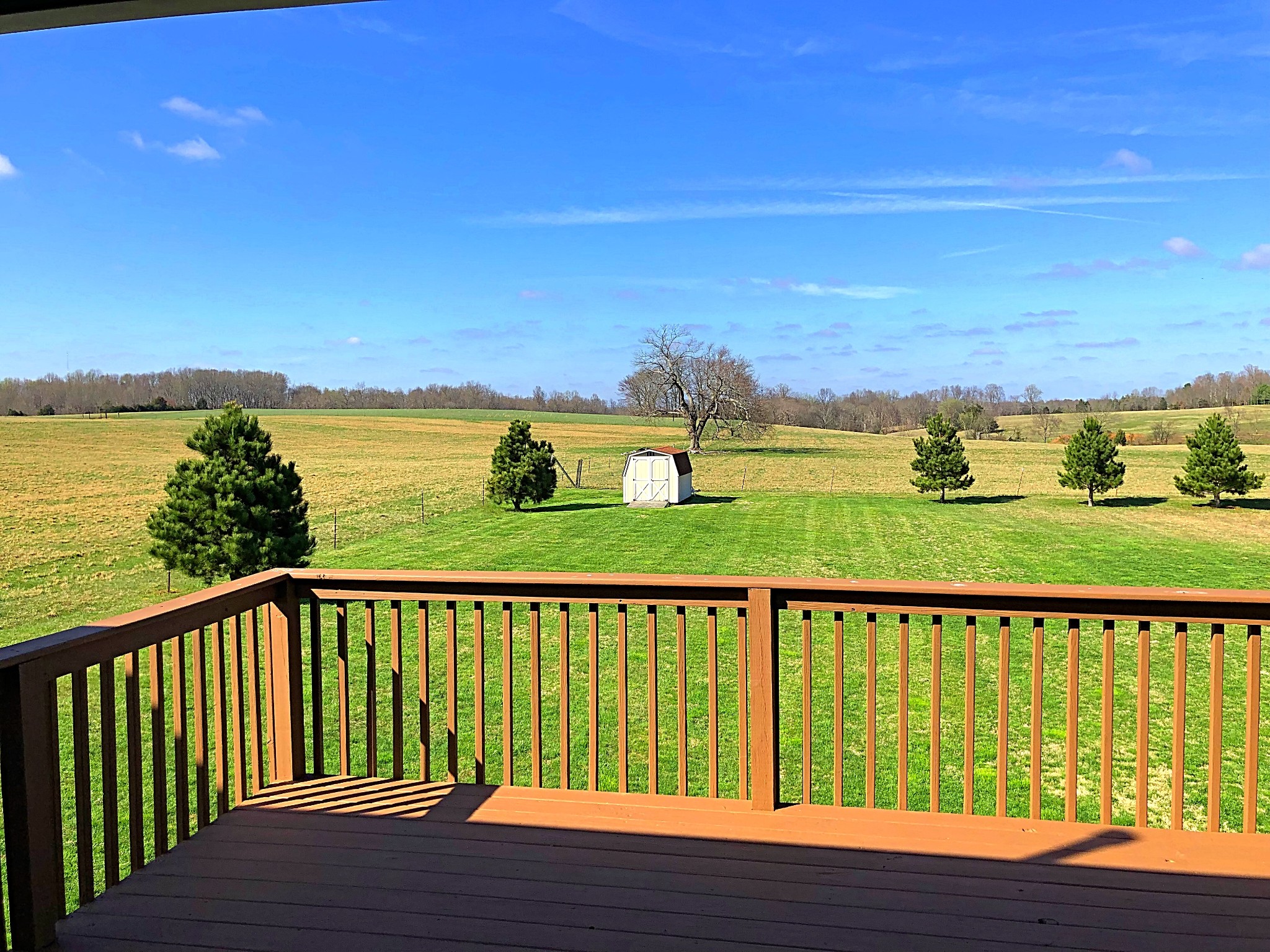 138 Calista Road White House, TN 37188 - Photo 11 of 29 Gallery Image 11