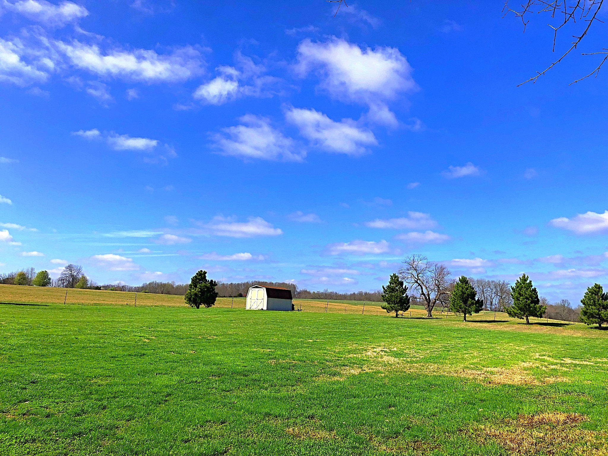 138 Calista Road White House, TN 37188 - Photo 4 of 29 Gallery Image 4