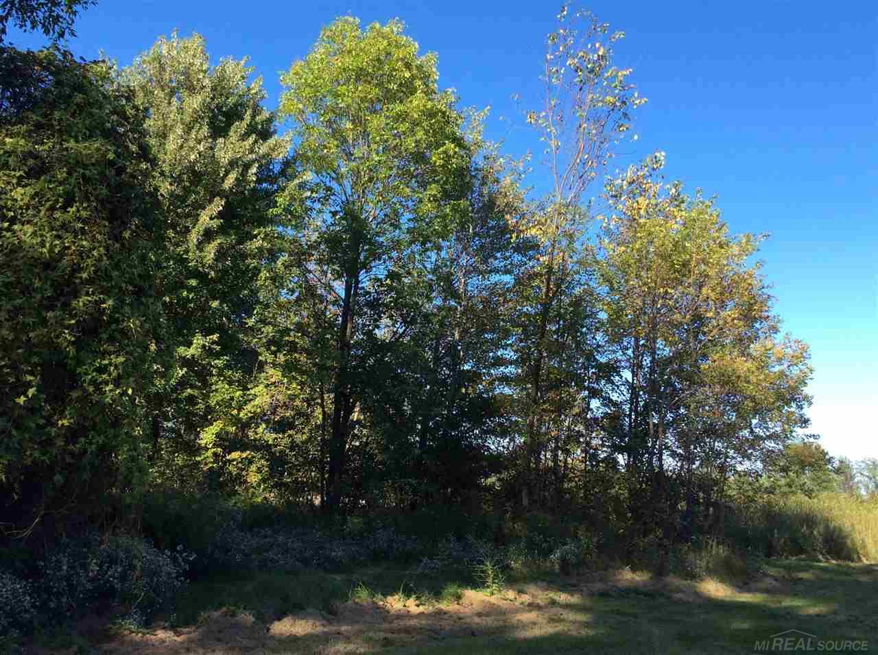 14756 Terry Road Allenton, MI 48002 - Photo 12 of 35