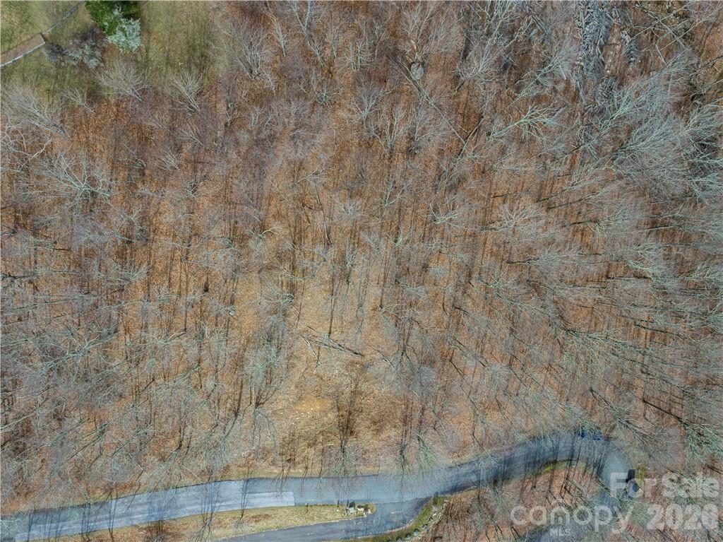 Tbd Wakeman Way Banner Elk, NC 28604 - Photo 9 of 10