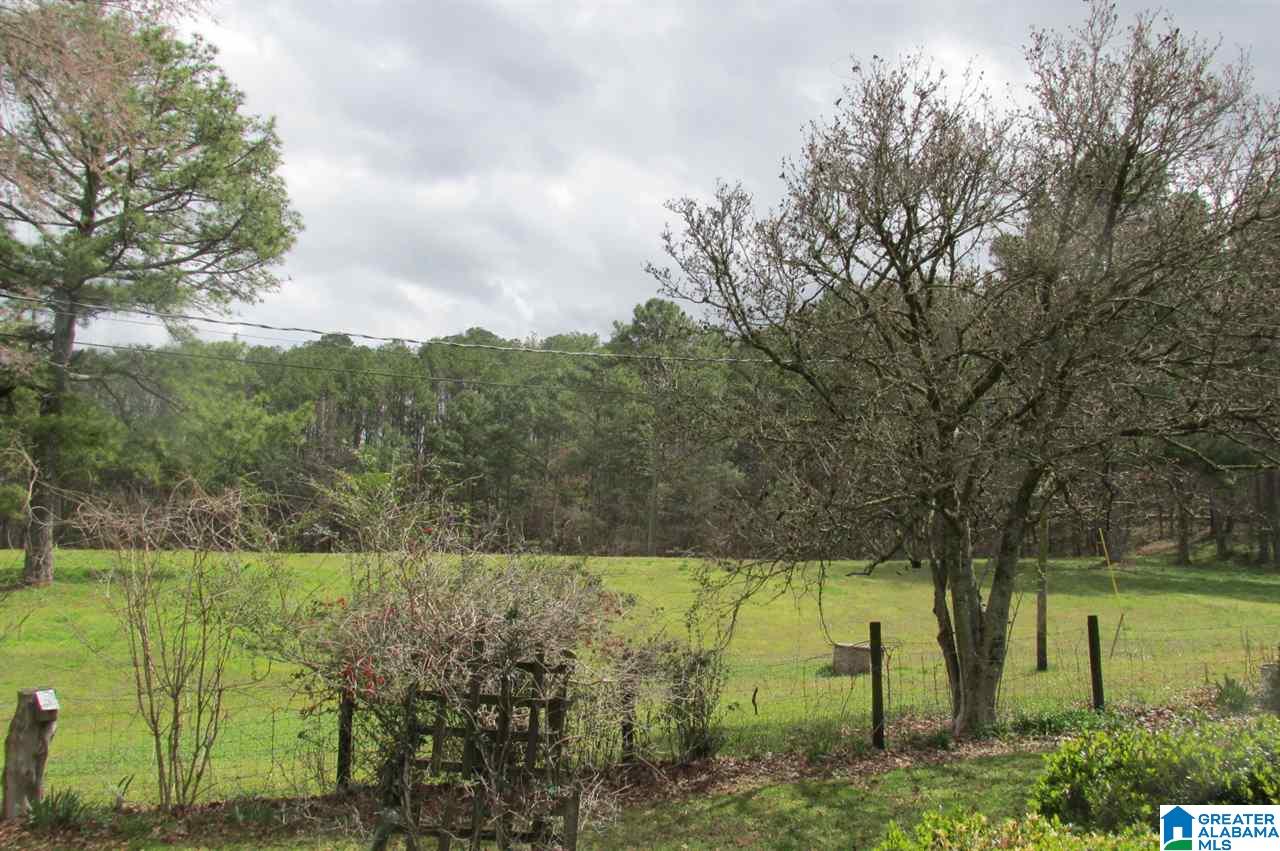404 Highway 42 Oneonta Al Oneonta, AL 35121 - Photo 20 of 20