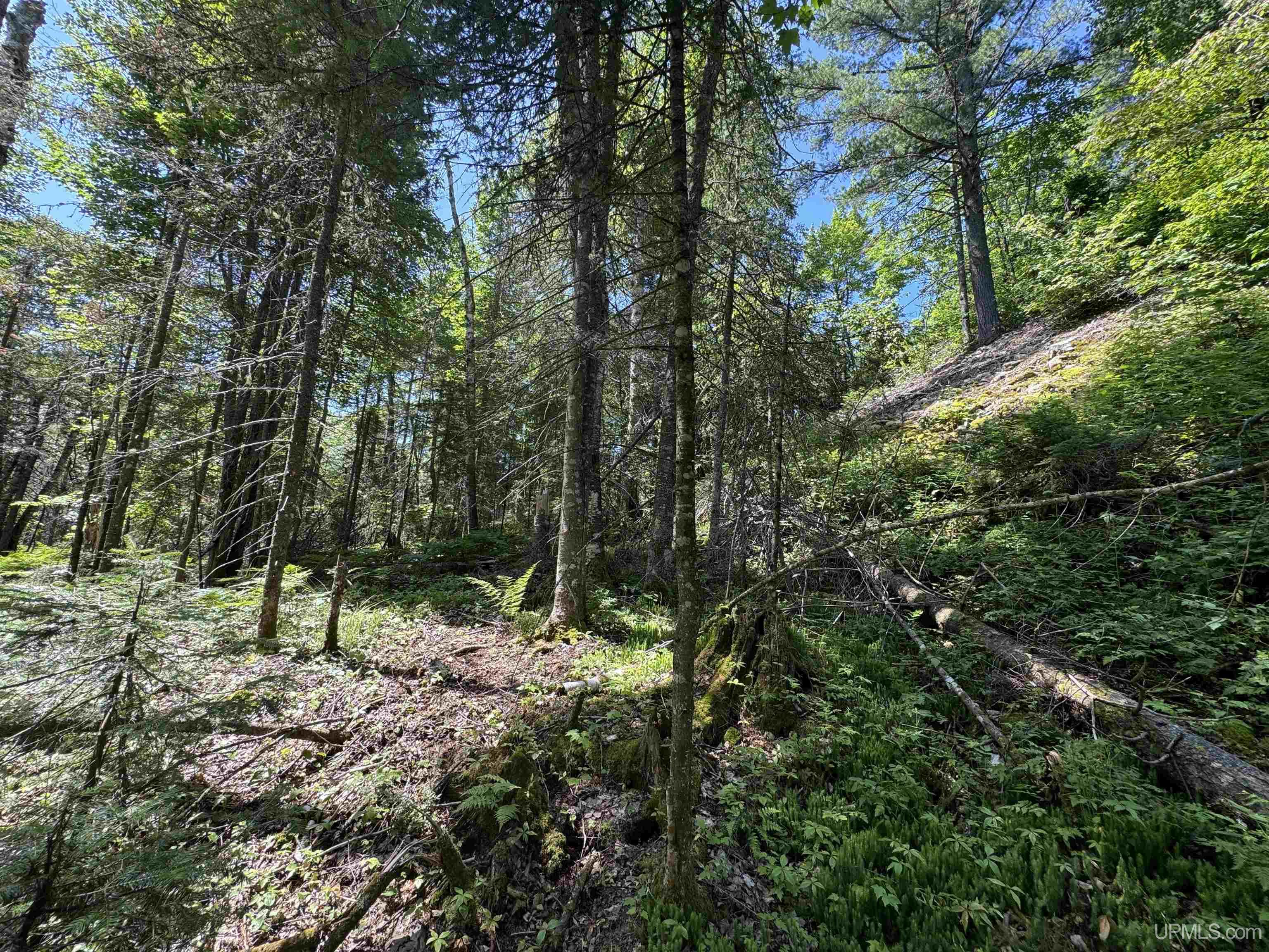 10 Acres Sec34 Road Ishpeming, MI 49849 - Photo 3 of 6