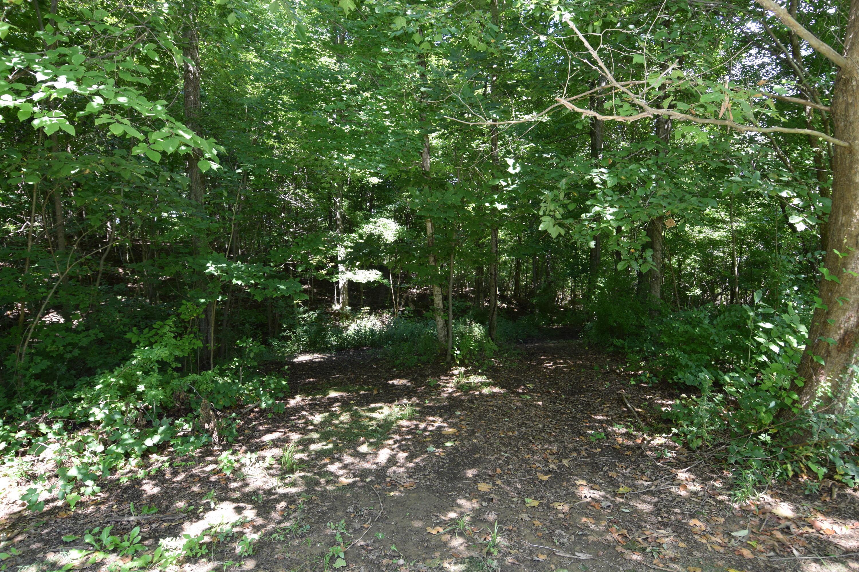 8745 Chillicothe Lancaster Road Southwest Amanda, OH 43102 - Photo 55 of 70 Gallery Image 55