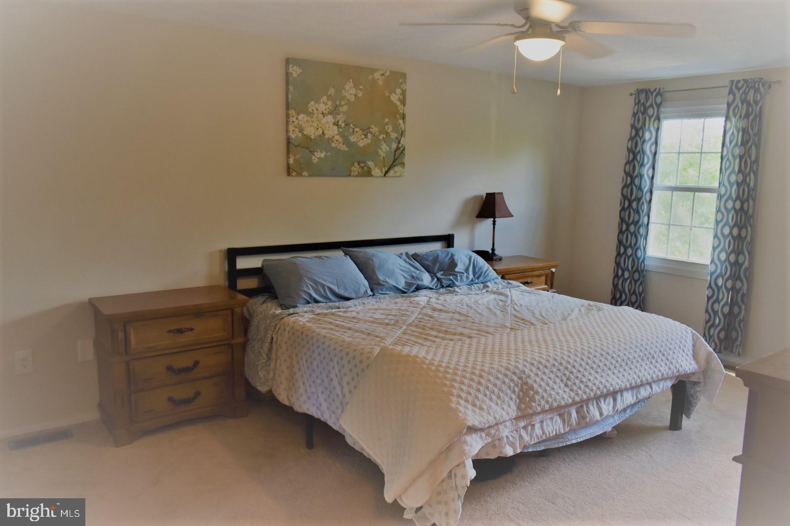 596 Pumphouse Road Frederick, MD 21703 - Photo 14 of 38 Spacious and bright Master bedroom