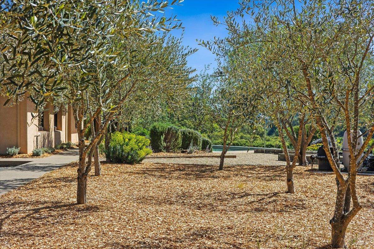 22355 Chianti Road Geyserville, CA 95441 - Photo 49 of 71