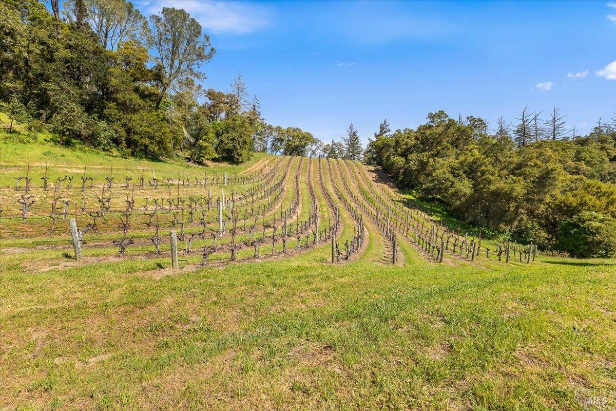 22355 Chianti Road Geyserville, CA 95441 - Photo 68 of 71