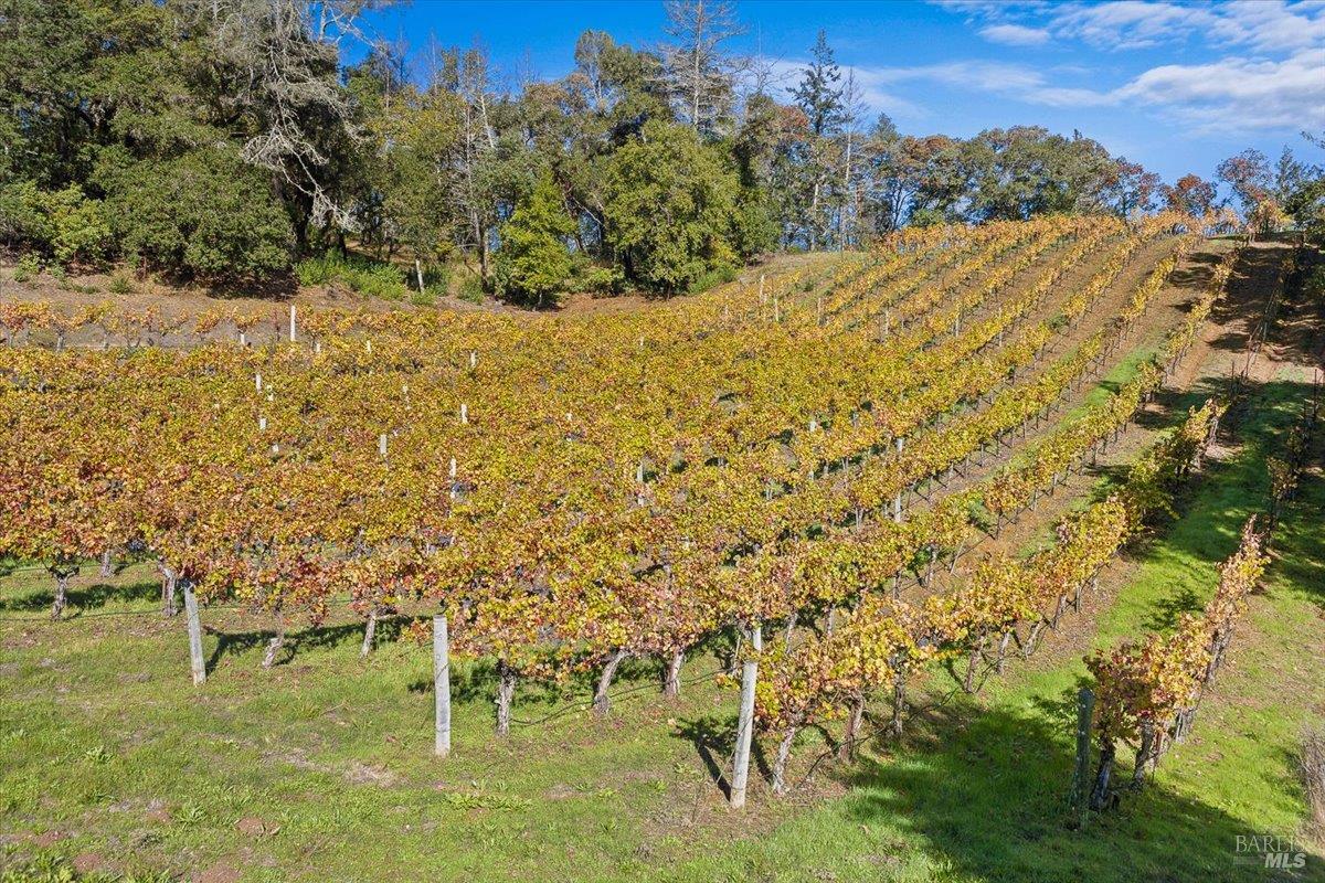 22355 Chianti Road Geyserville, CA 95441 - Photo 69 of 71