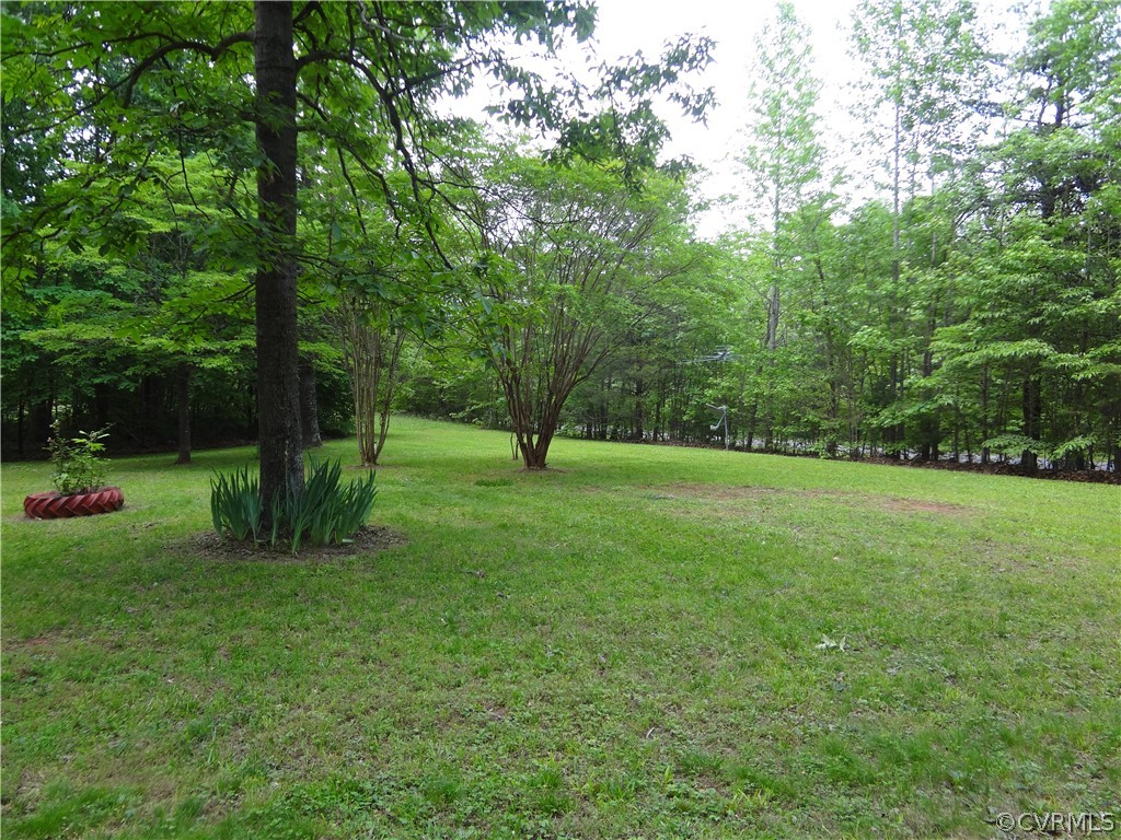 3198 Lowry Road Columbia, VA 23038 - Photo 11 of 19 a view of a park with large trees
